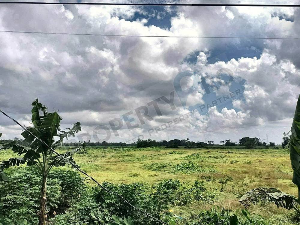 Centerville Talisay photo 2