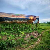 Centerville Talisay photo 3
