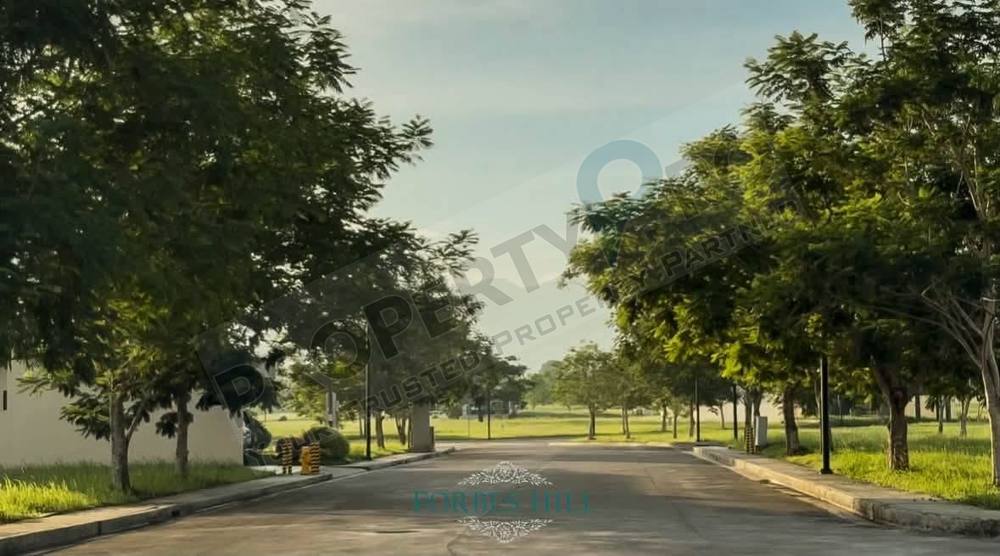 Forbes Hill photo 4