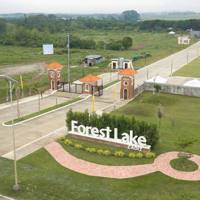 Forest Lake Cadiz photo 1