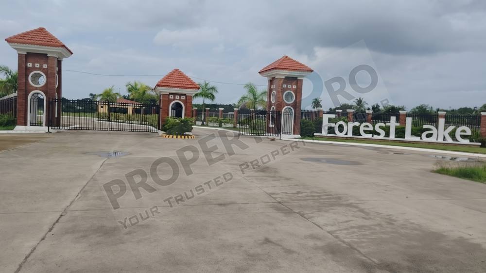 Forest Lake Sum-ag photo 1