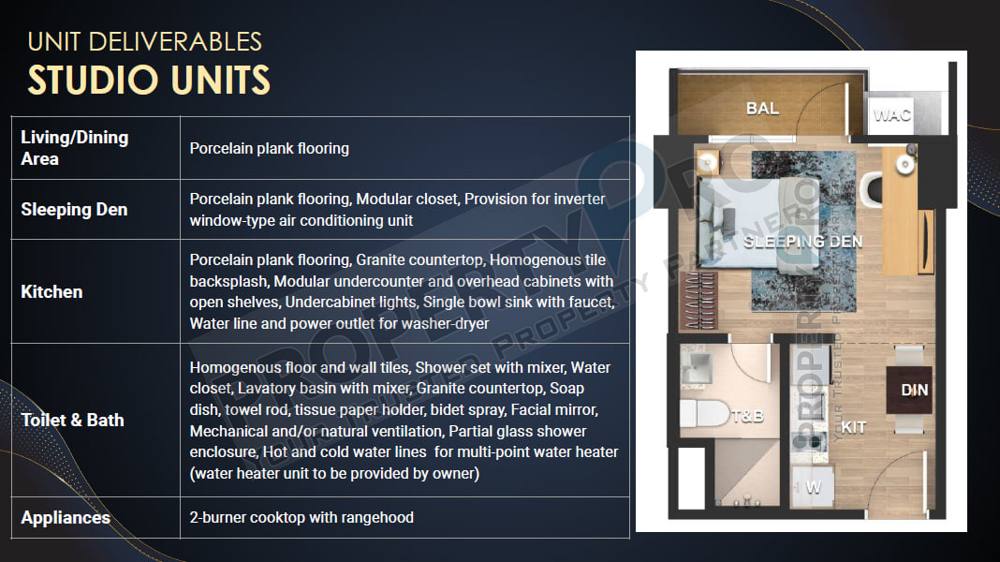 Herald Parksuites Studio photo 2