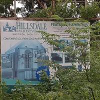 Hillsdale Sagay Lot only photo 4