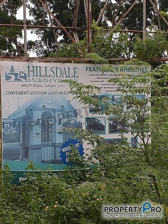 Hillsdale Sagay Lot only photo 4