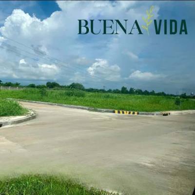 Buena Vida
