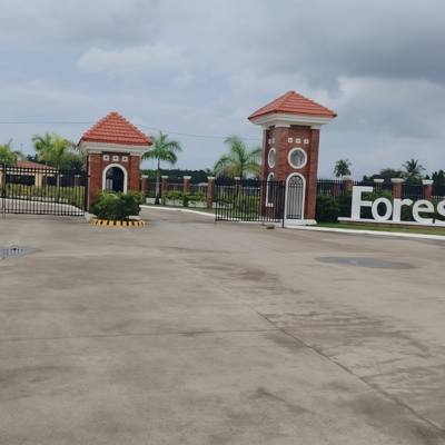 Forest Lake Sum-ag