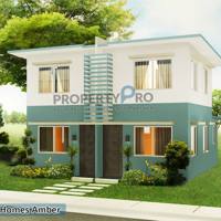 Palm Estate Amber photo 1