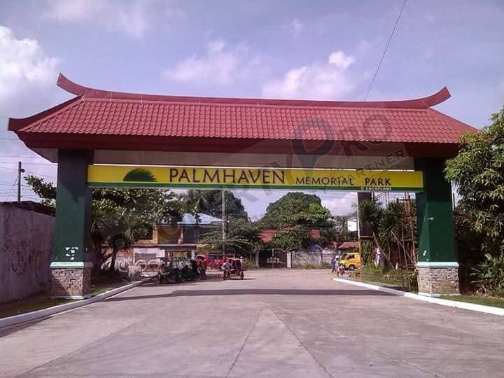 Palm Haven Lawn lot, premium photo 1