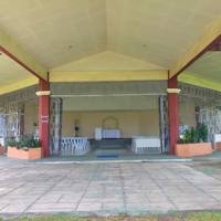 Palm Haven Lawn lot, premium photo 2