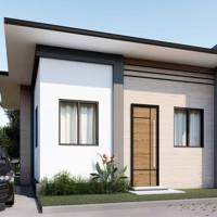 Sunny Plains Cara photo 1
