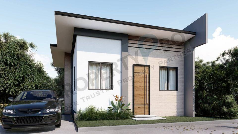 Sunny Plains Cara photo 1