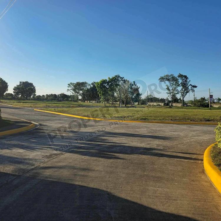 Town and Country East Lot only photo 2