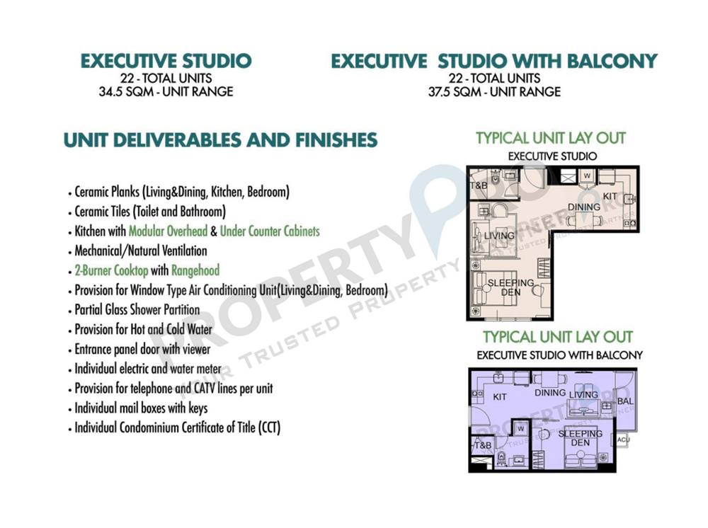 Two Regis Executive studio photo 2